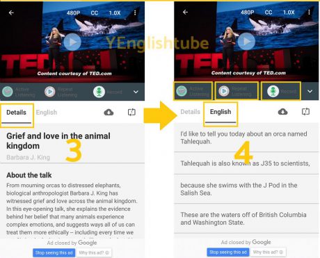 TEDtube